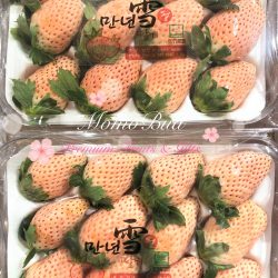 Korean Pink Snow Strawberry