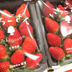 Japanese Ichigosan Strawberry