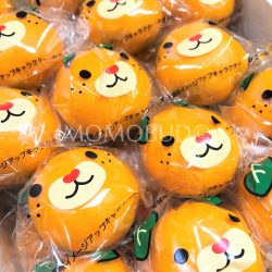 Japanese Ehime no Taiyo Mikan (Mandarin orange)