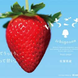 Japanese Ichigosan Strawberry Poster