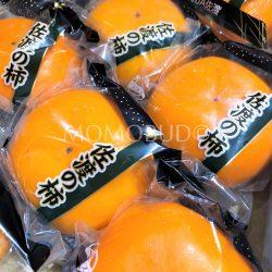 Japanese Sado Okasa Persimmon