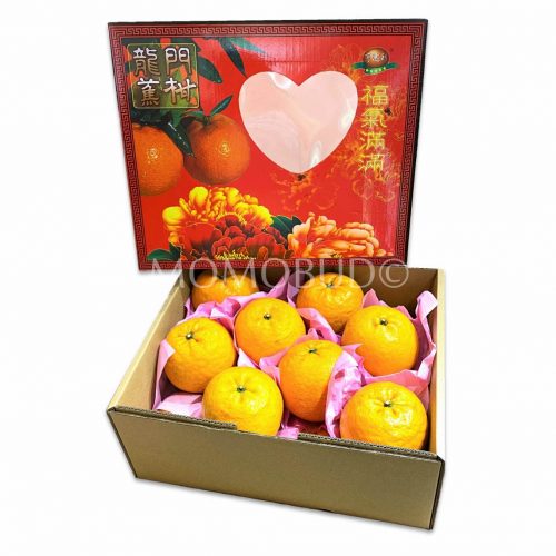Longmen Jiaokan Gift Box 28s