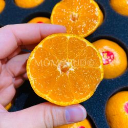 Premium Yongquan Mandarin cross section