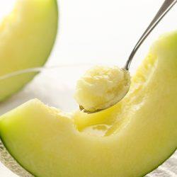 Earls Muskmelon