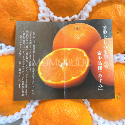 Japanese Asumi Mikan 1