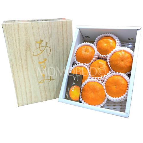 Japanese Asumi Mikan Gift Box 1.5kg