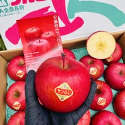 Japanese Nagano High Sweetness Sun Fuji Apples