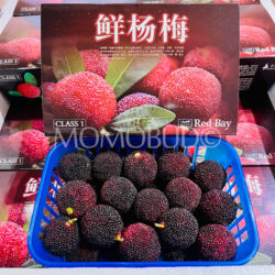 Black Chinese Bayberry (500g punnet)