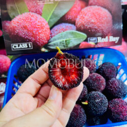 Black Chinese Bayberry cross section