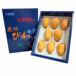 Japanese Kibou Biwa Gift Box 500g