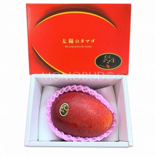 Miyazaki Mango (Taiyo no Tamago) Gift Box (5L size)