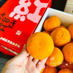 Japanese Obara Beniwase Mikan