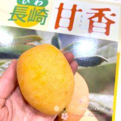 Japanese Amaka Loquat