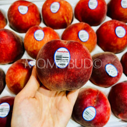 Family Tree Farms® Snow Belle White Peach