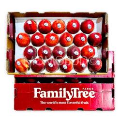 Family Tree Farms® Snow Belle White Peach Box