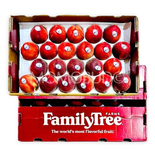 Family Tree Farms® Snow Belle White Peach Box
