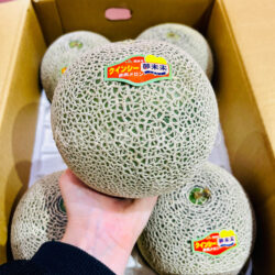 Japanese Kumamoto Quincy Red Melon Japanese Kumamoto Quincy Red Melon