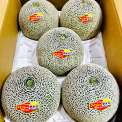 Japanese Kumamoto Quincy Red Melons Japanese Kumamoto Quincy Red Melons