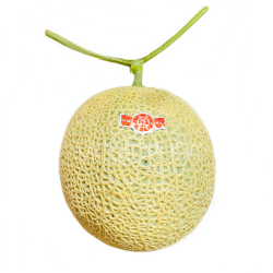 Japanese Osuzu Red Muskmelon 1