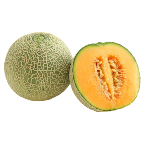 Japanese Quincy Melon