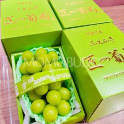 Japanese Takumi No Budou Shine Muscat Grapes Gift Boxes (500g approx)