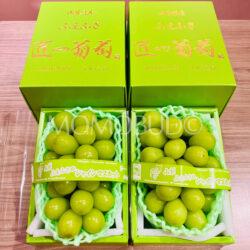 Japanese Takumi No Budou Shine Muscat Grapes Gift Boxes (500g approx)