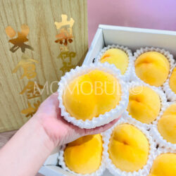 Japanese Yonekura Golden Peach Japanese Yonekura Golden Peach