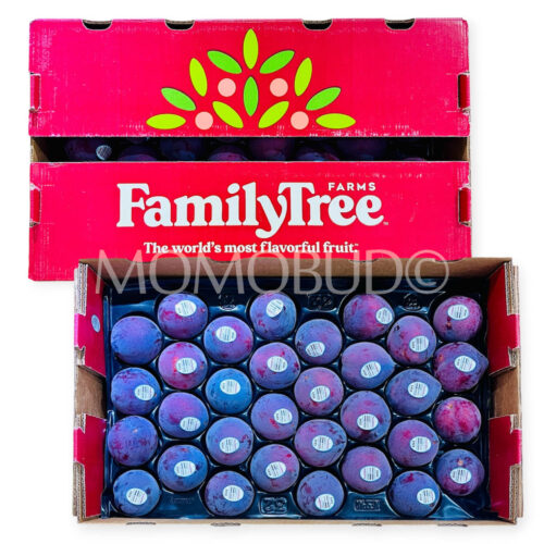 Family Tree Farms® Midnight Rose Aprium Box Family Tree Farms® Midnight Rose Aprium Box