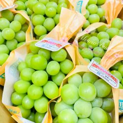 Japanese Nagano Shine Muscat Grapes