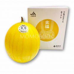 Japanese Kinpuku Watermelon