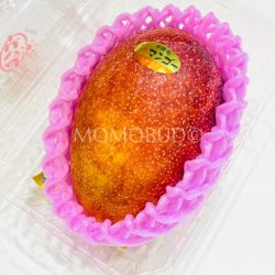 Japanese Okinawa Mango Punnet 2