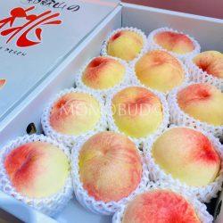 Japanese Wakayama Shimizu White Peach 3