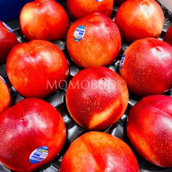 Lowana Majestic Pearl White Nectarines