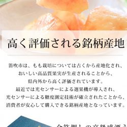 Takumi no Momo Hakuhou Peach Takumi no Momo Hakuhou Peach