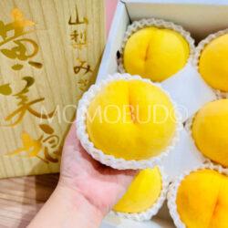 Japanese Misaka Kimiko Yellow Peach