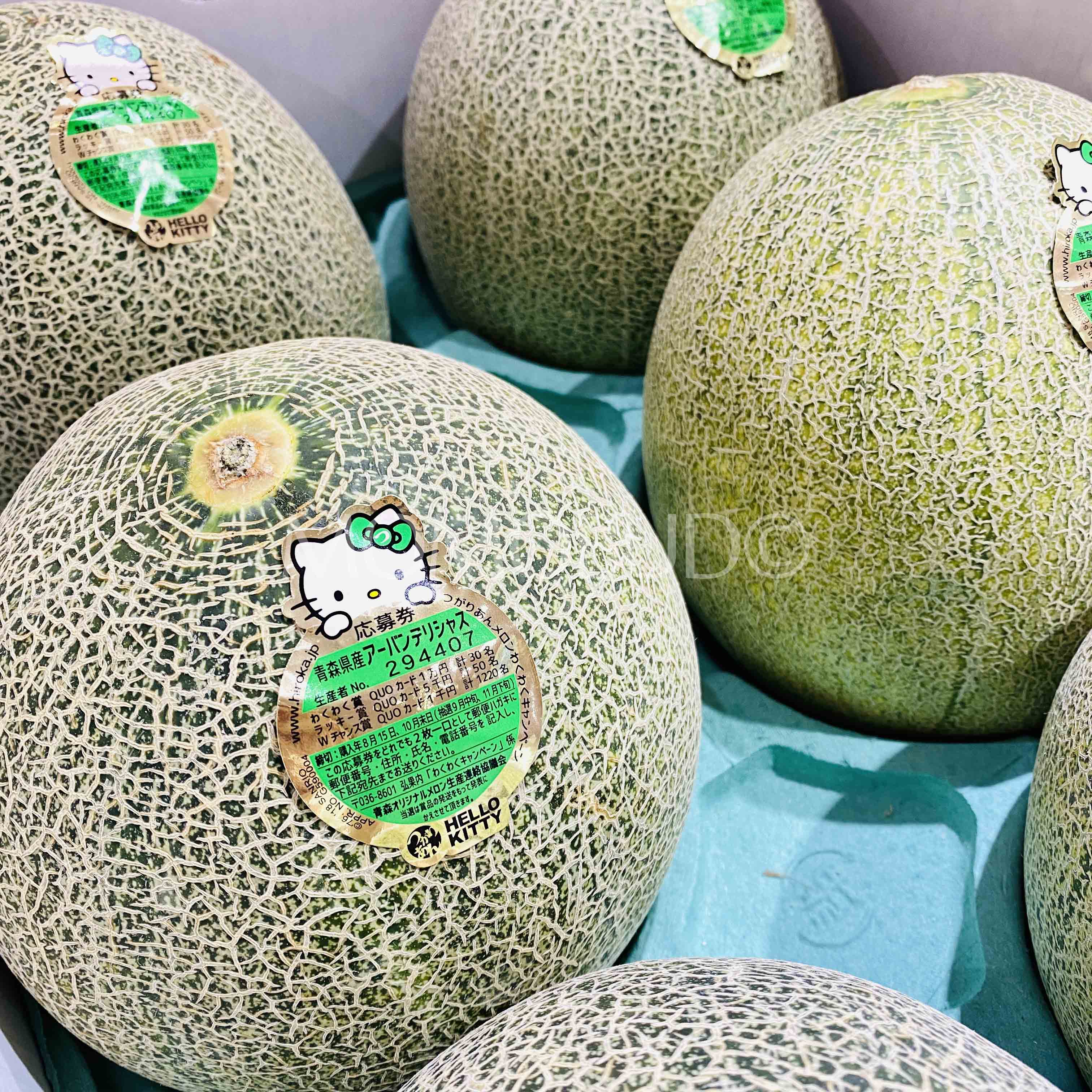 Japanese Tsugarian (Urban Delicious) Green Melon — MomoBud