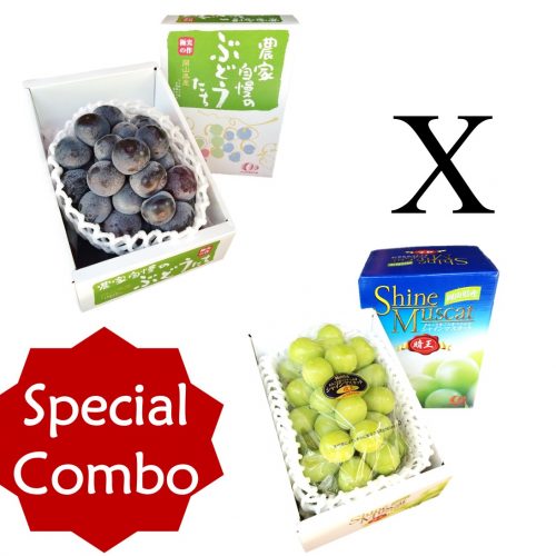 Special Combo Set 7