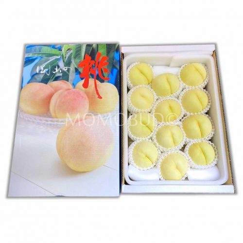 Japanese Okayama Hakuro White Peach 4kg Box