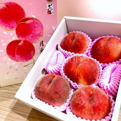 Japanese Tsuki Usagi White Peach Gift Box