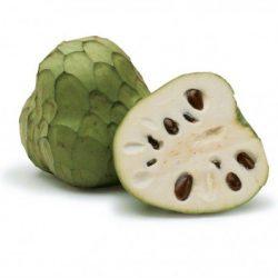 Cherimoya Custard Apple 3