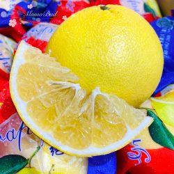 China White Grapefruit