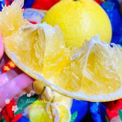 China White Grapefruit pulps