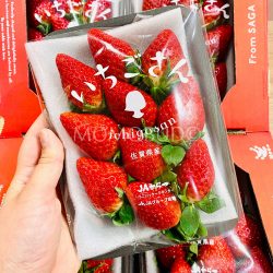 Japanese Ichigosan Strawberry pack