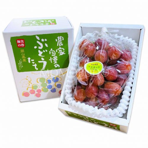 Japanese Muscat Biore Red Grapes Gift Box 600g
