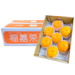 Japanese Tai Ten Fukugaki Persimmon Box 3.5kg