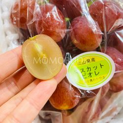 Japanese Muscat Biore Red Grapes cross section
