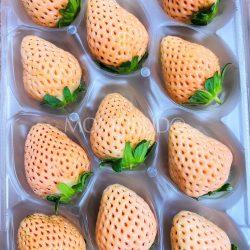 Japanese Awaji Island Berry Strawberry 1