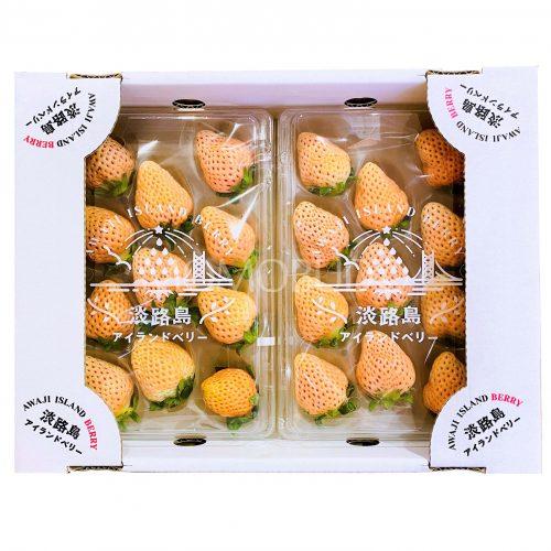 Japanese Awaji Island Berry Strawberry Tray