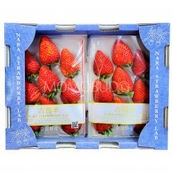 Japanese Nara Kotoka Strabwberry Tray