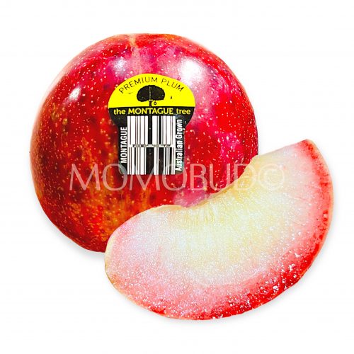 Montague Tree Autumn Honey Pluot Montague Tree Autumn Honey Pluot